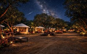 Amber Resort
